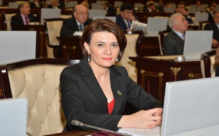 Yeni deputat üzvü olduğu komitədən çıxarıldı
